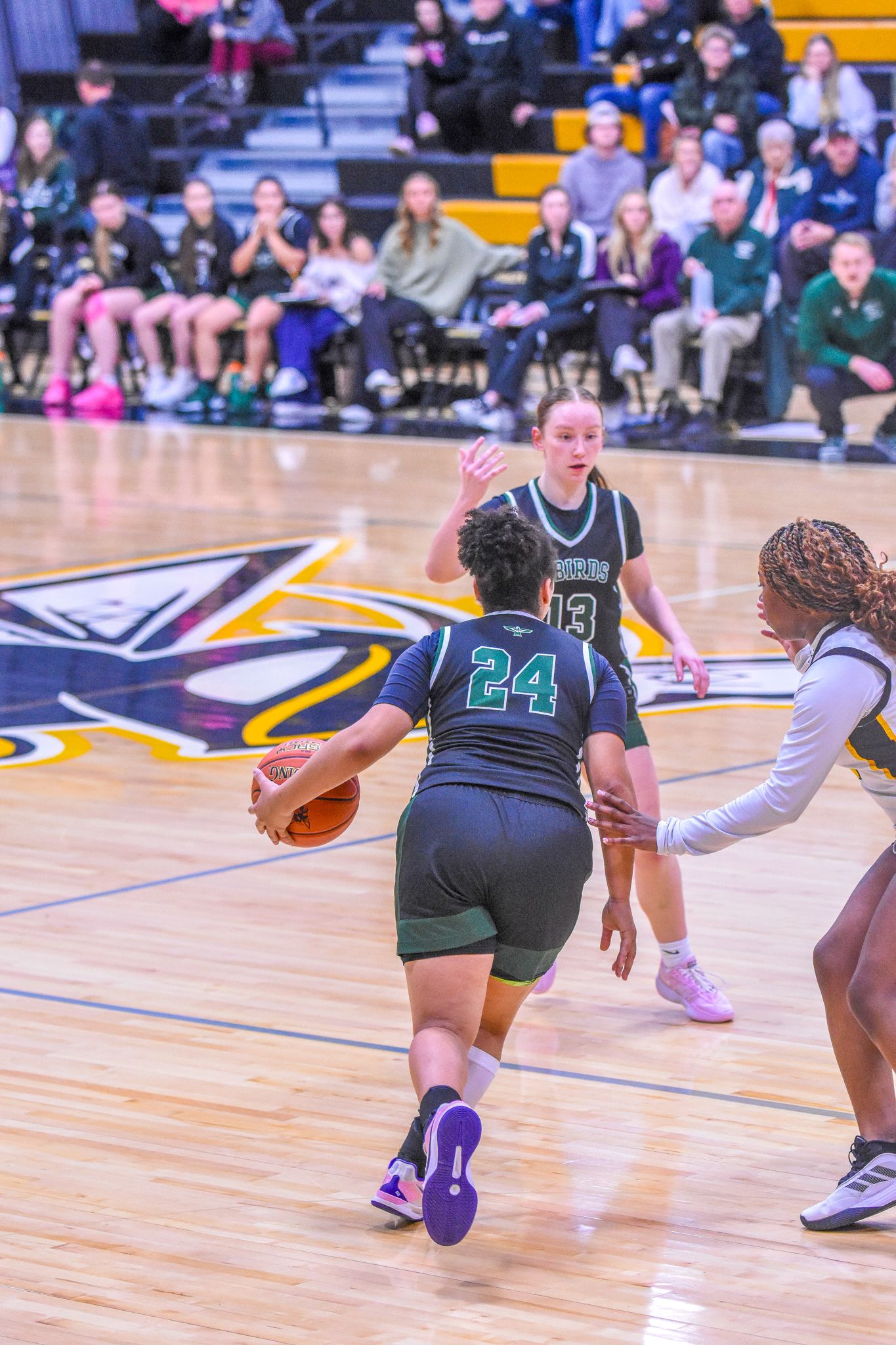 Basketball Photo