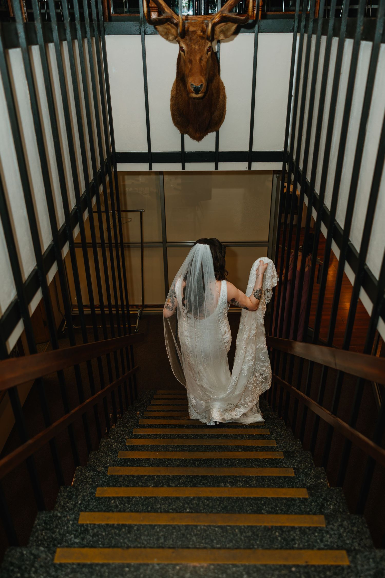 Bride in lace wedding gown with veil ascending stairs beneath a mounted deer head trophy.