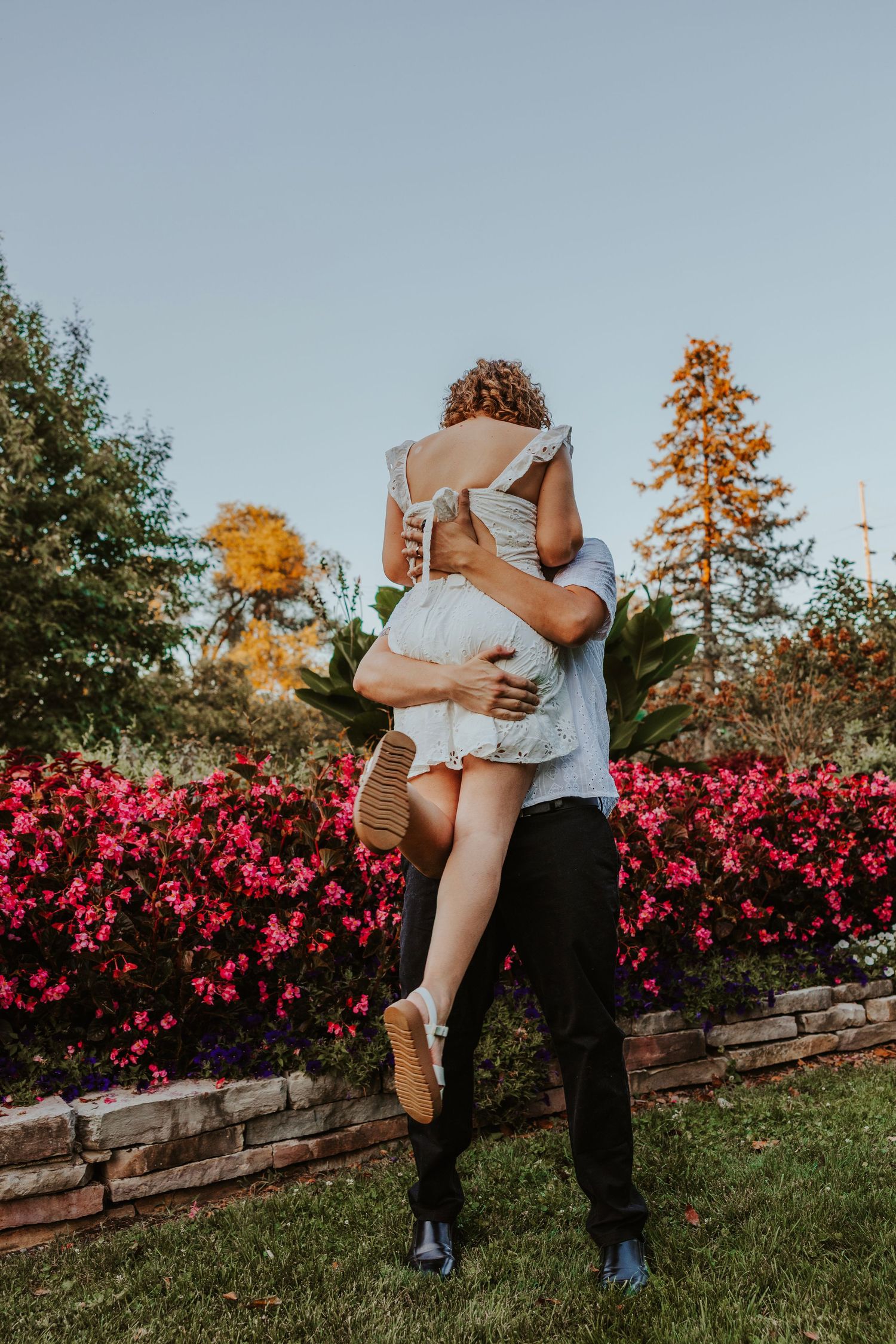 Groom lifting bride in front of vibrant red flower garden at outdoor engagement session. Chicagoland engagement photos.