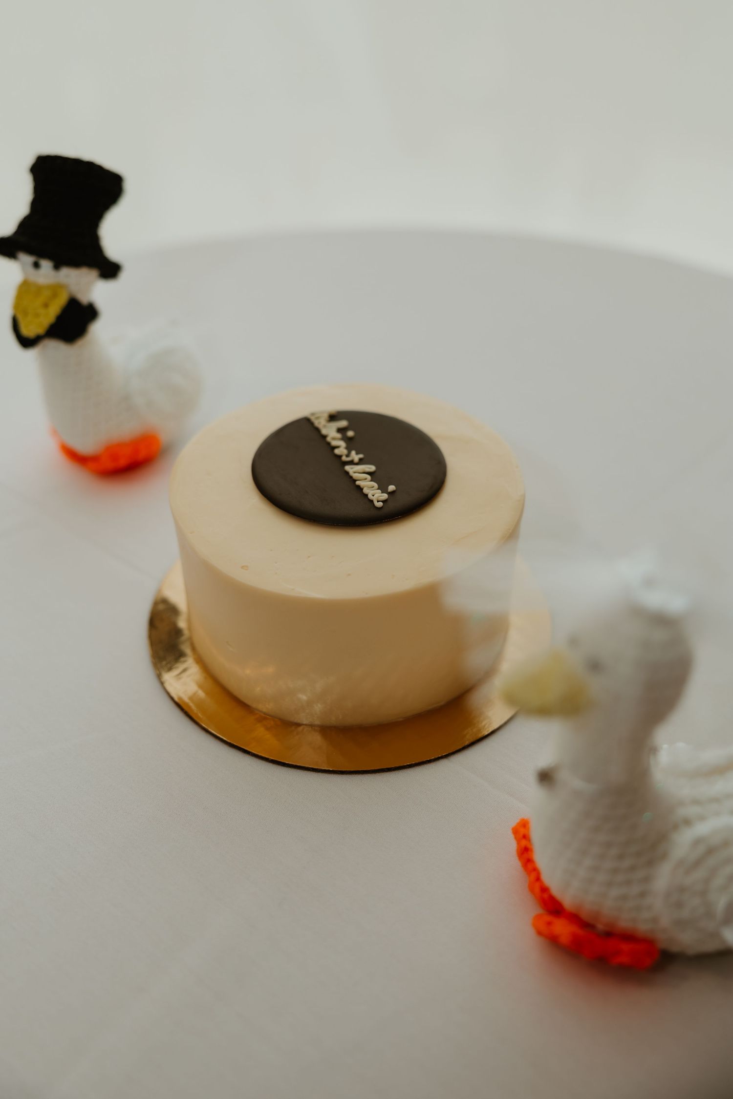 Small wedding cake with black fondant topper flanked by two crocheted duck decorations on white table.