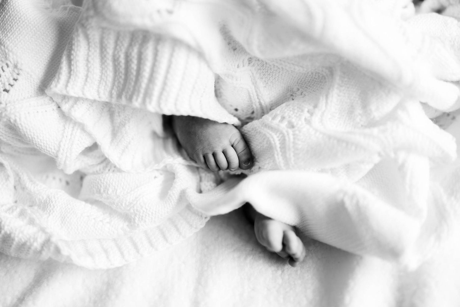 Sunshine Coast Photography - in homes newborn session - baby feet