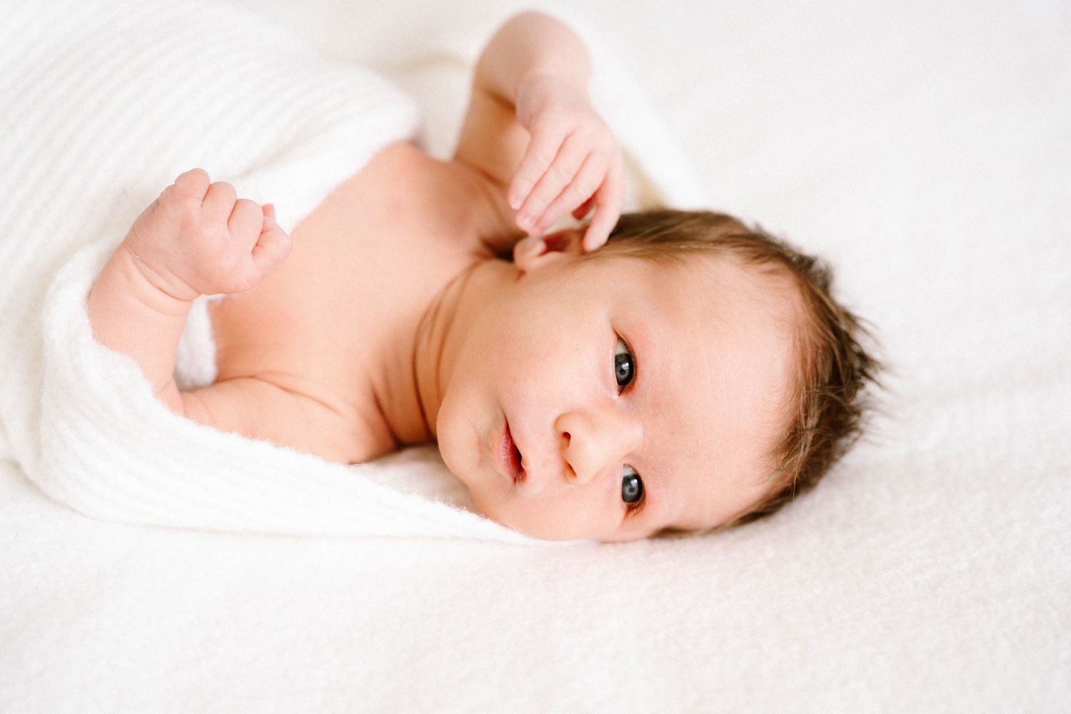 Sunshine Coast Photography - in homes newborn session - baby - newborn posing