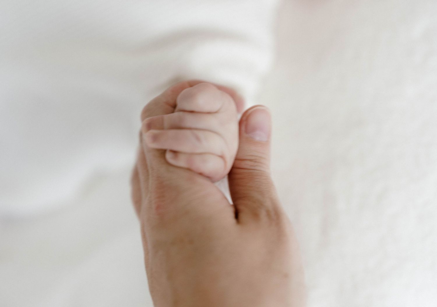 Sunshine Coast photography - family in home photography session - mini session - newborn and mum hand