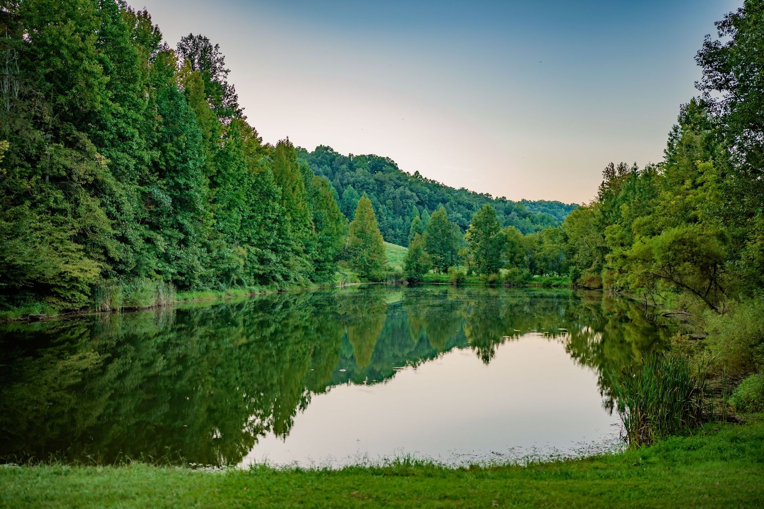 Serene lake reflection surrounded by lush green forest trees and rolling hills at dusk.