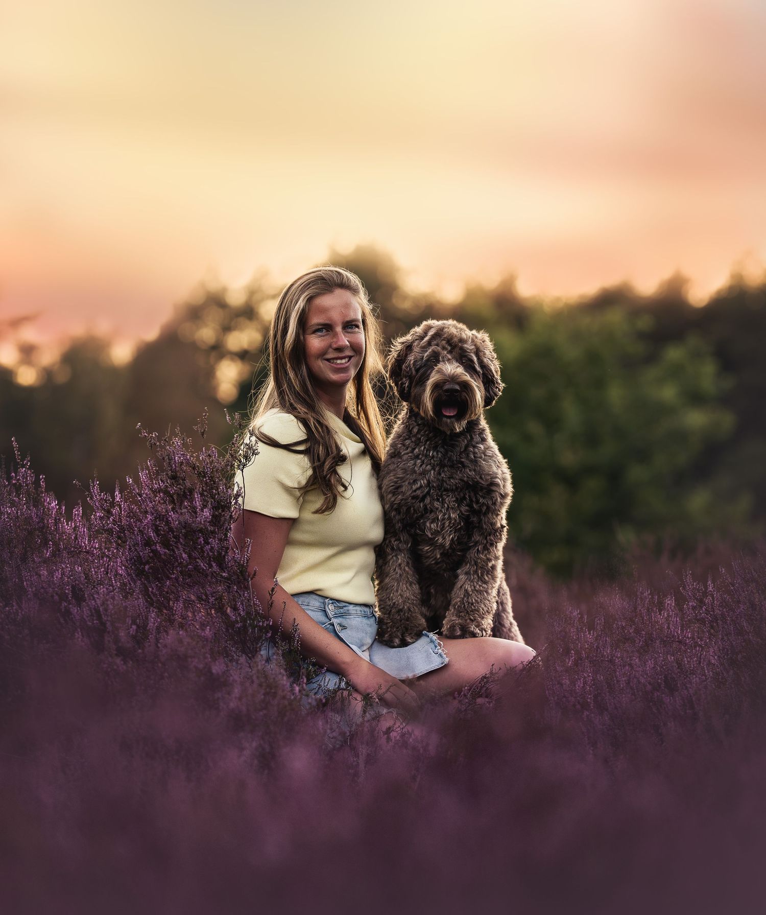Smiling woman sitting cross-legged in purple heather fields with a curly brown dog at golden sunset.