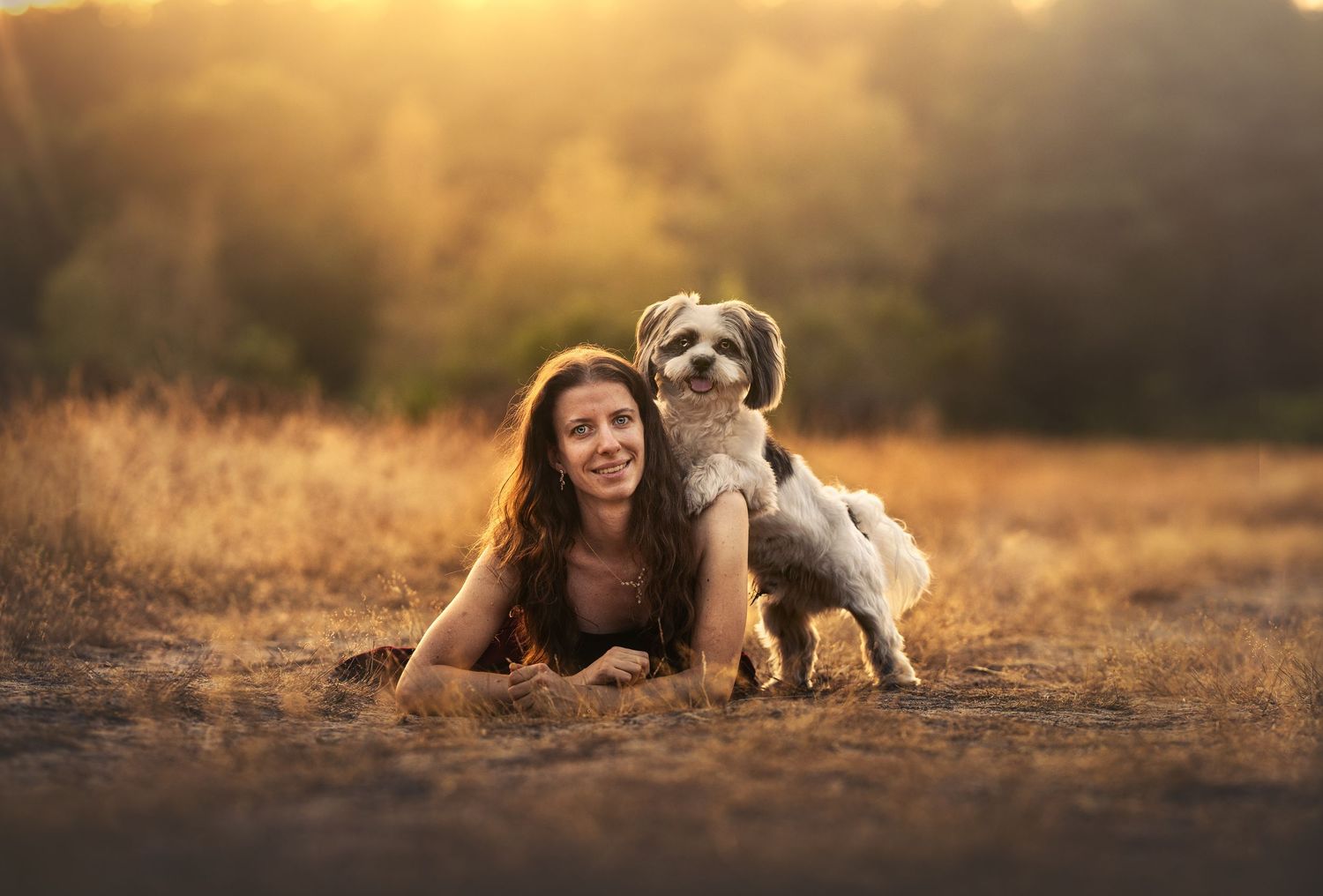 Woman lying in golden field with small fluffy dog beside her, bathed in warm sunset light.