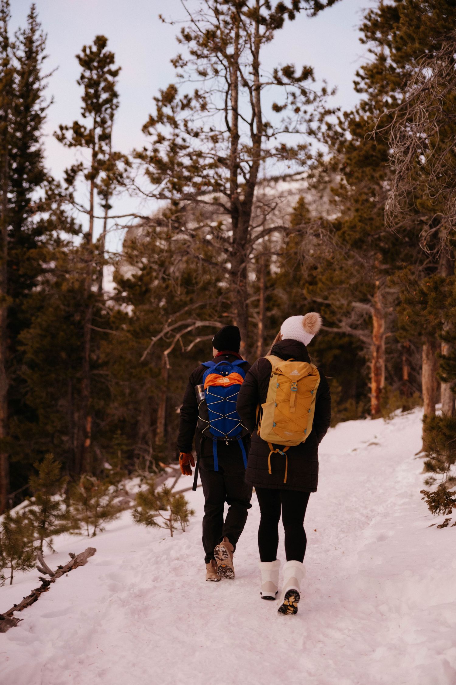Two hikers with colorful backpacks walk along a snowy forest trail surrounded by pine trees in winter.