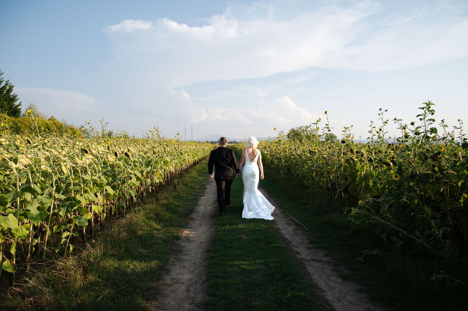 Bride and groom walking hand in hand through a lush vineyard on their wedding day in Tuscany Italy.