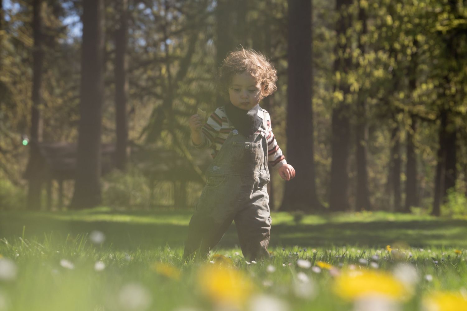 Young curly-haired child walks alone through sunlit green meadow surrounded by tall trees.
