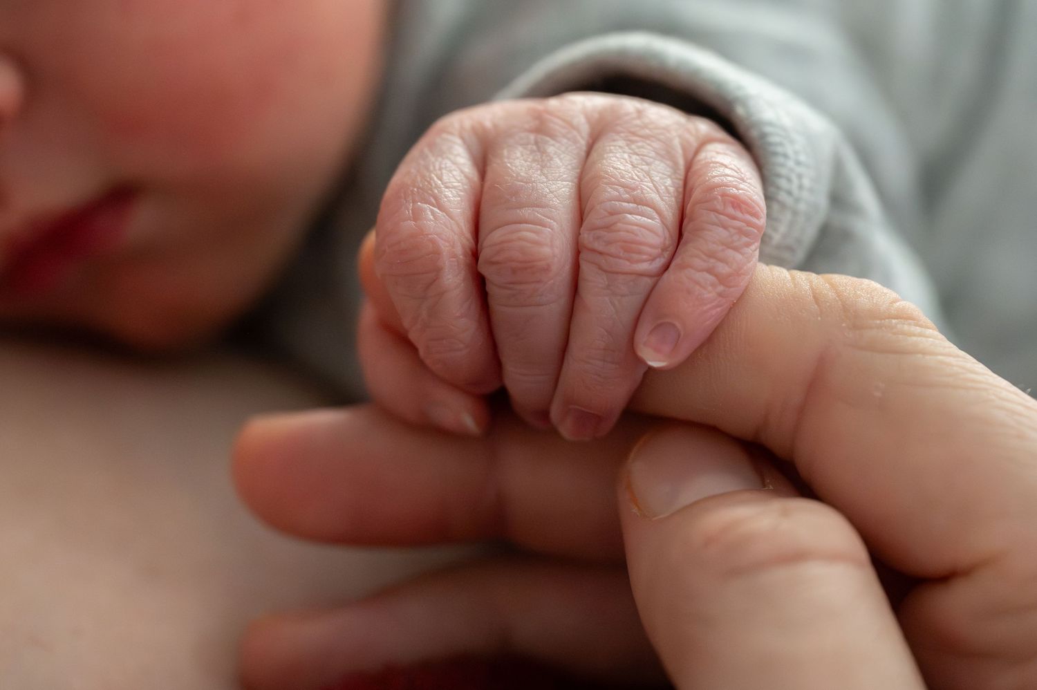 A newborn baby grasping an adult finger with tiny wrinkled hand, symbolizing new life and parent-child bond.