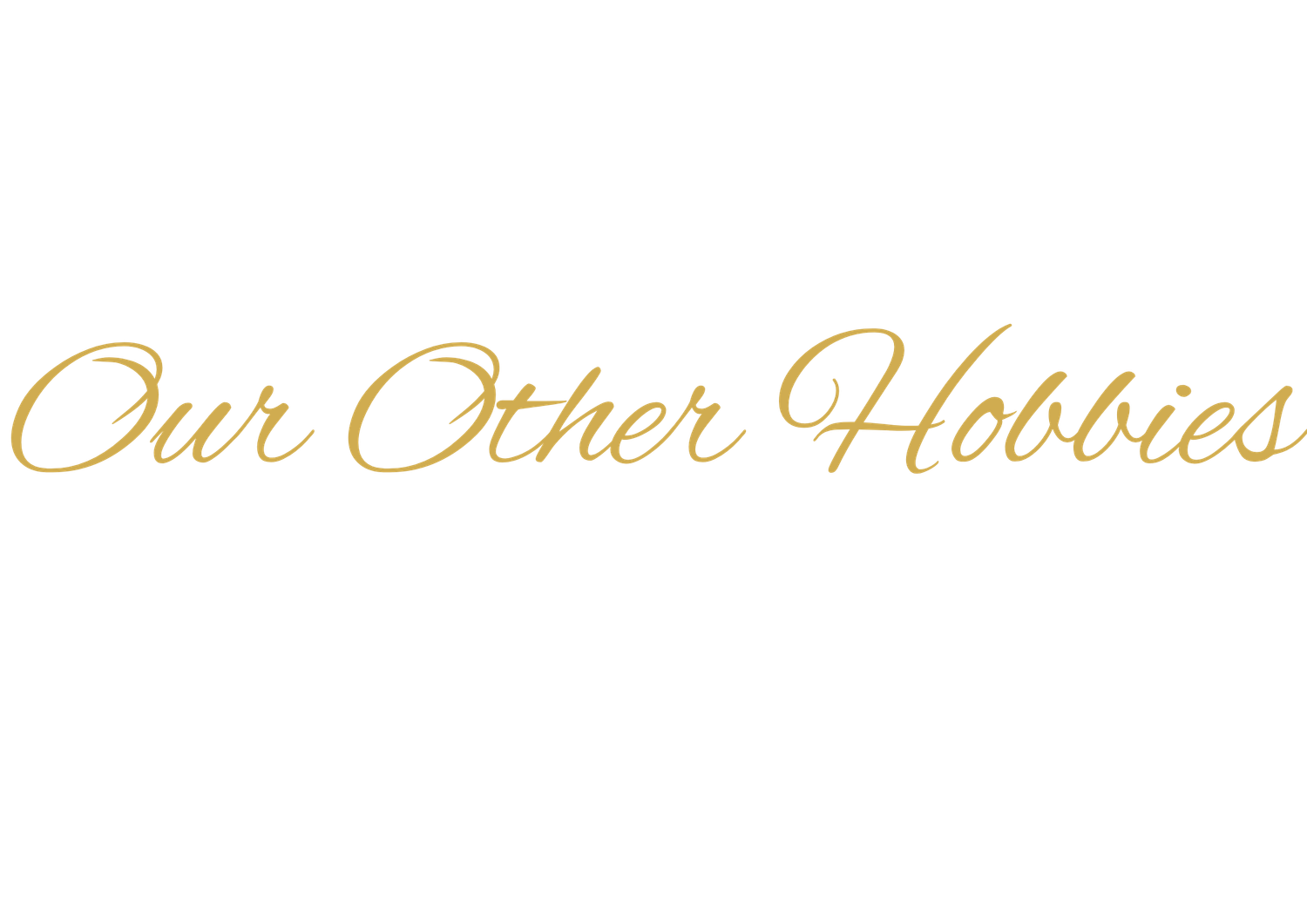 Gold cursive script text reading Our Other Hobbies on a white background.