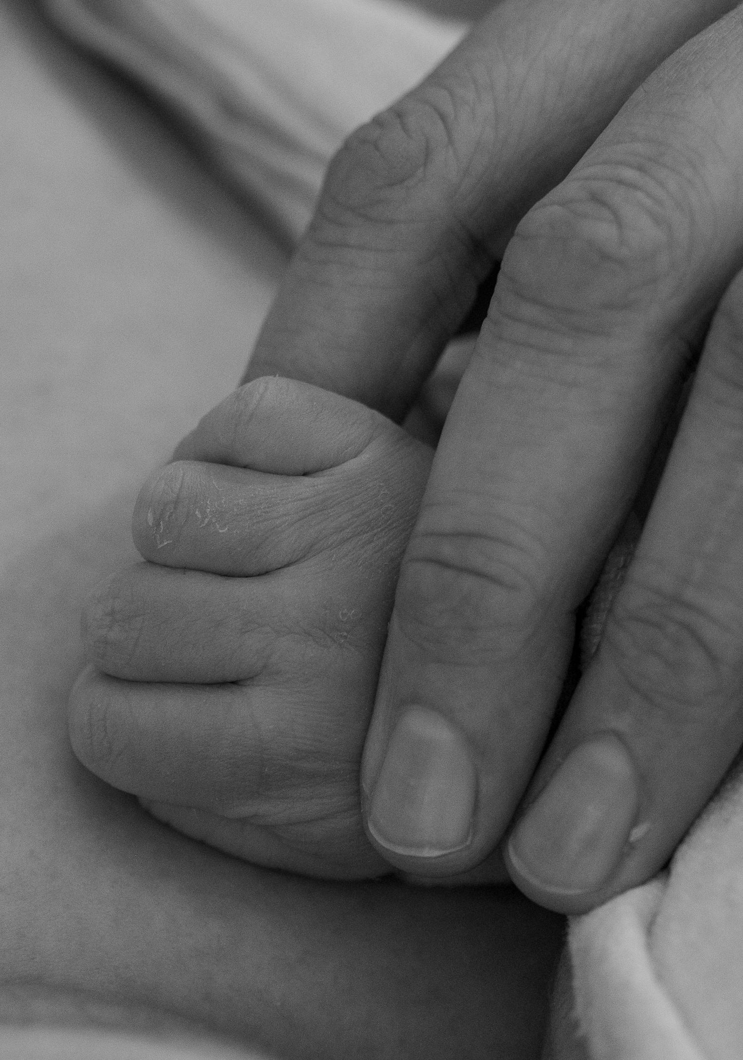 A black and white close-up of a newborn baby grasping an adult finger, symbolizing new life and parental bond.