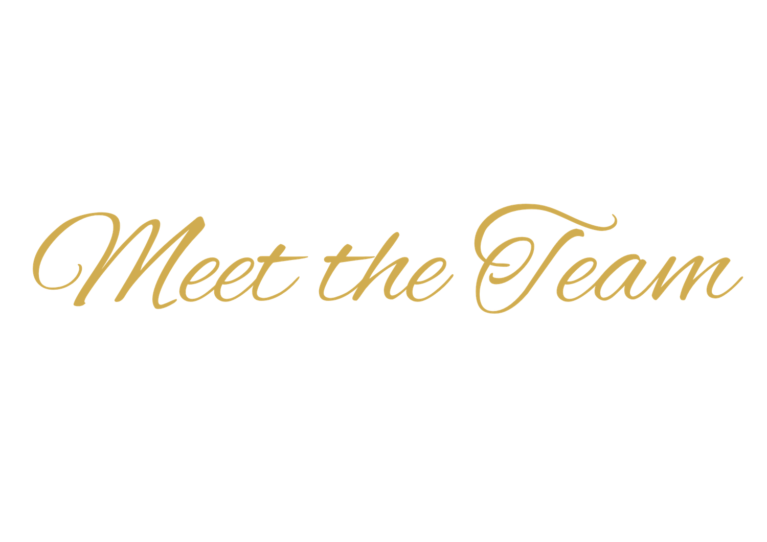 Gold cursive script Meet the Team text on white background, elegant typography for team introduction section.