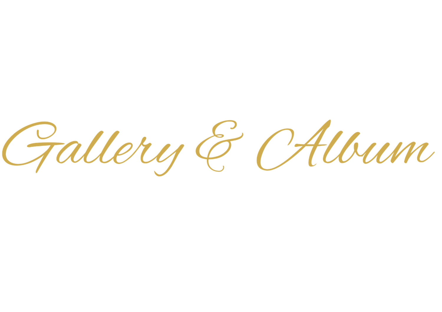 Elegant gold cursive script reading Gallery & Album on a white background for a wedding or event photography website.