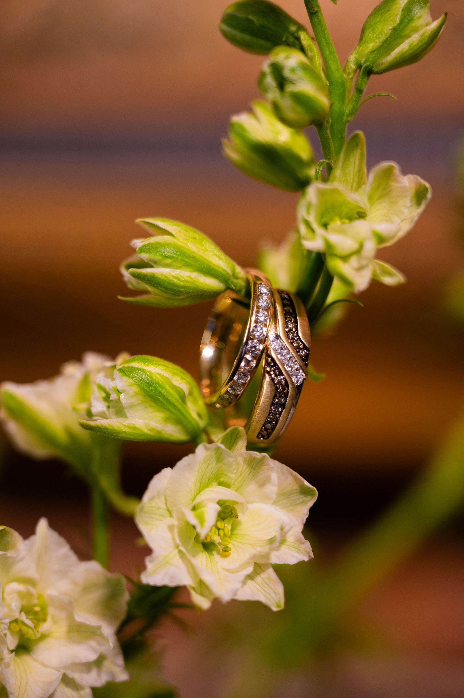 Two gold wedding rings with diamond accents resting on white flower blooms and green buds.