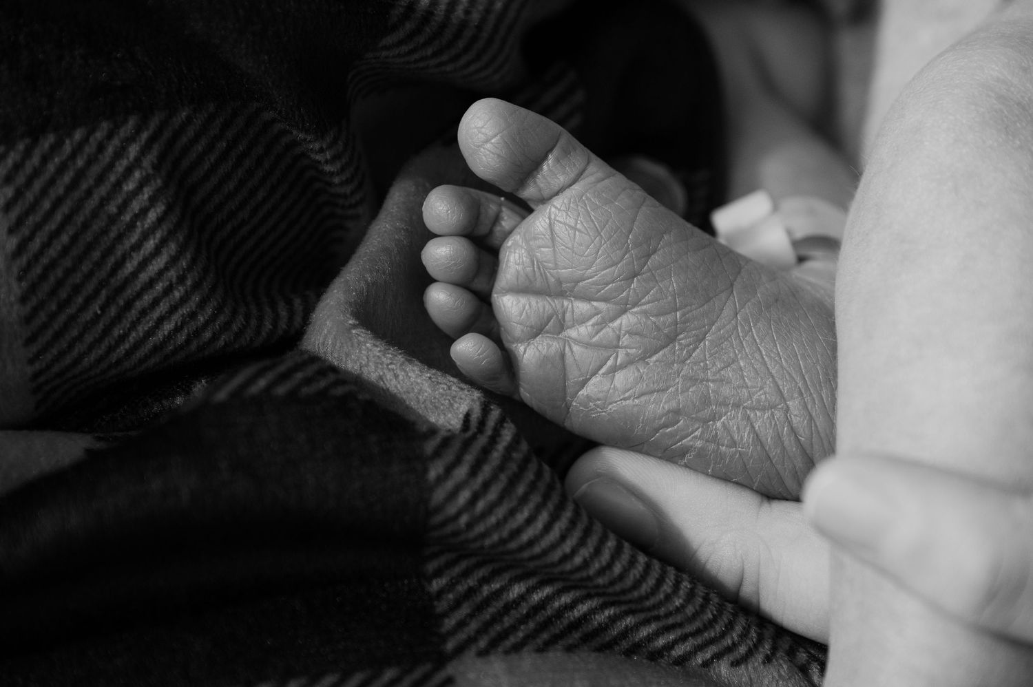 Black and white close-up of a newborn baby's tiny foot resting gently in an adult's hand.