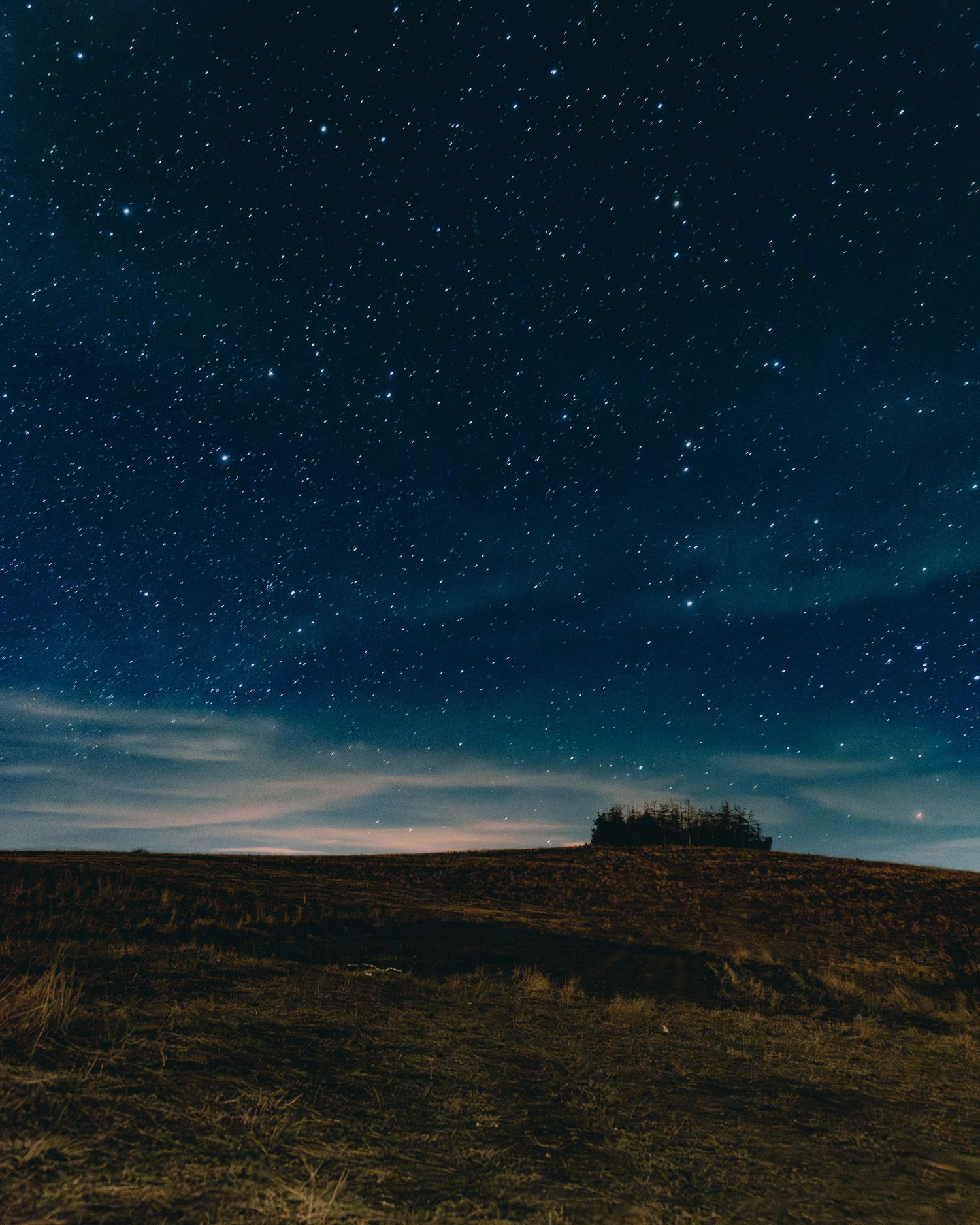 Starry night