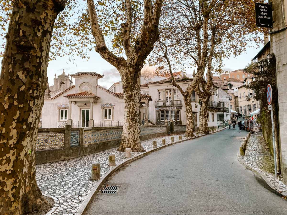 Charming cobblestone street lined with plane trees and historic white buildings in a quiet European village.