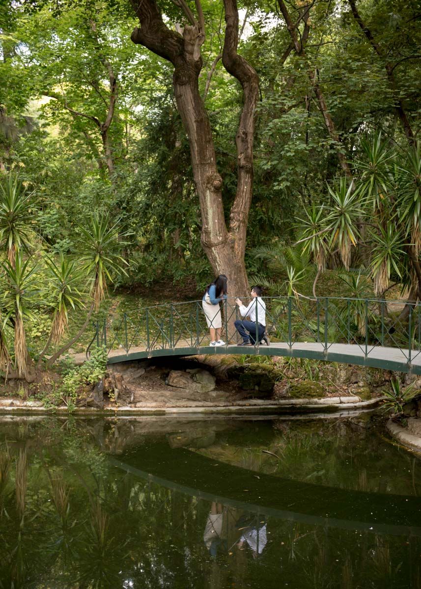 Two people stand on a small bridge over a calm pond in a lush green park with tropical plants and trees.