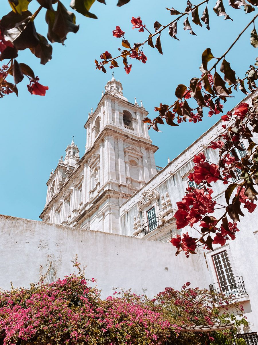 White baroque church tower framed by vibrant pink bougainvillea flowers against a clear blue sky.