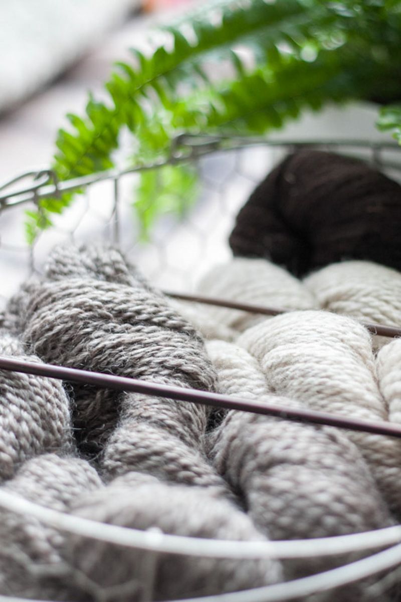 Wire basket filled with gray, white, and dark yarn skeins with knitting needles and green fern leaves.