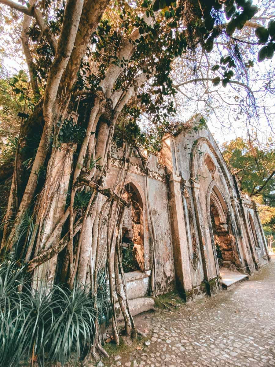 Ancient stone arches overgrown with twisted tree roots and vines in a lush, atmospheric ruined garden setting.