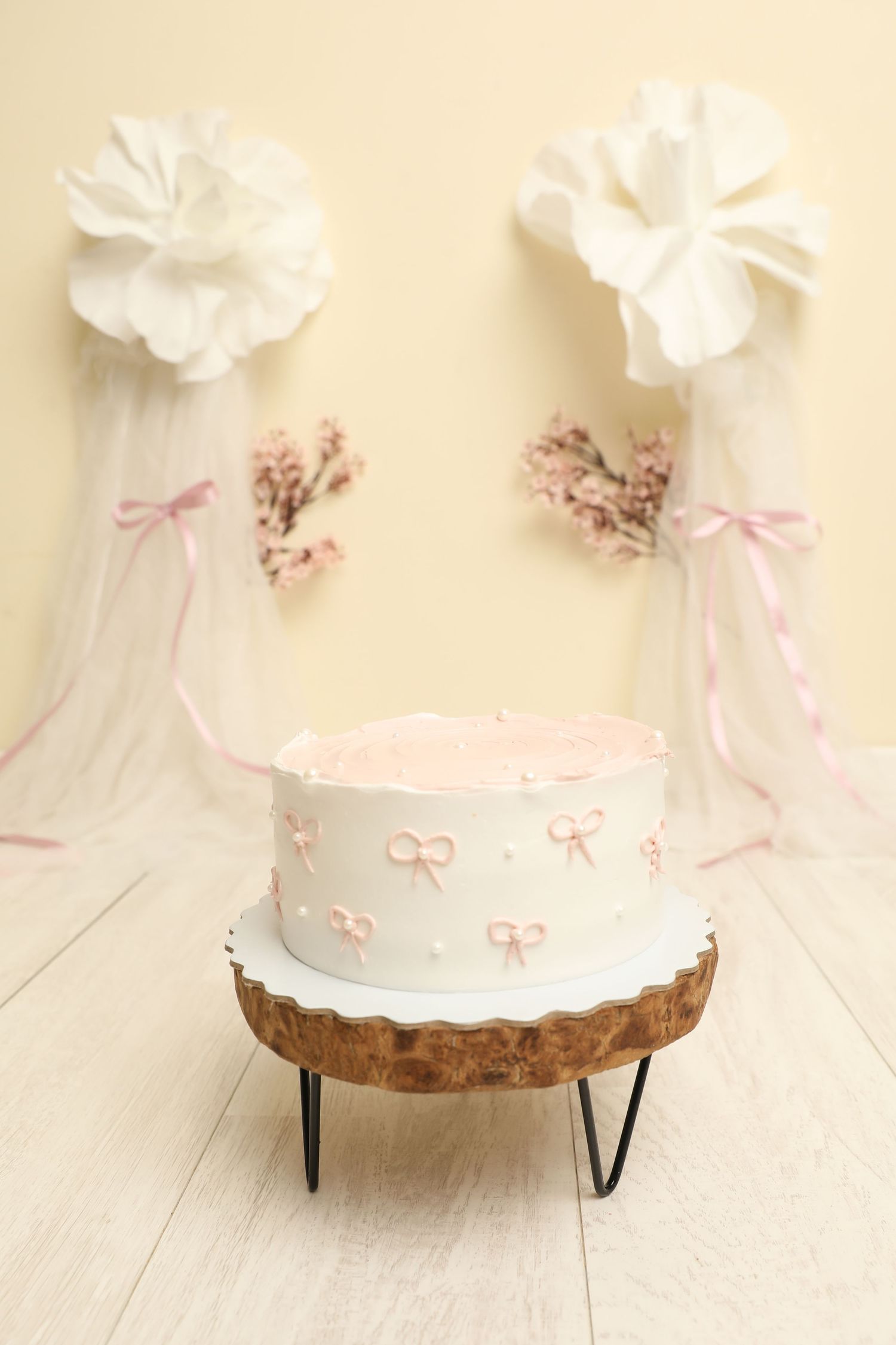 Ana Silva Fotografia Pinhal Novo smash the cake