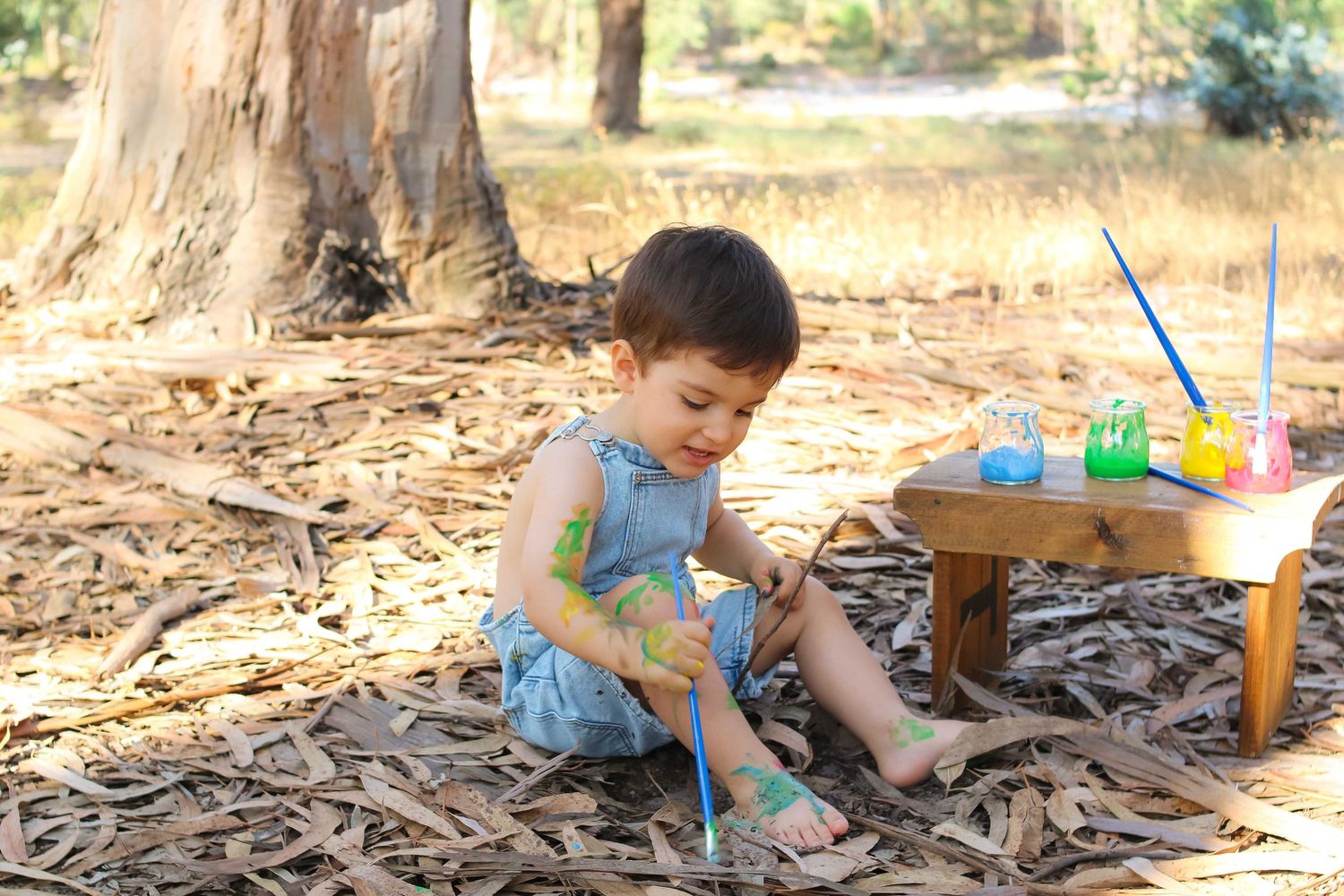 Ana Silva Fotografia Pinhal Novo smash the paint