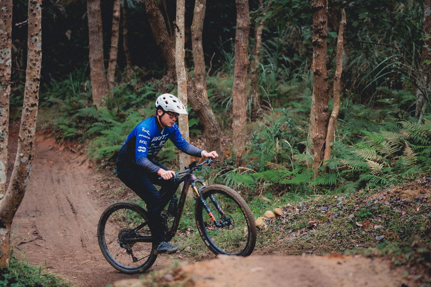 A mountain biker in blue gear rides a trail through a dense fern-filled forest on a dirt path.