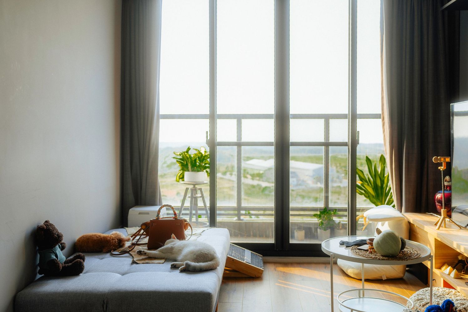 A cozy modern living room with large windows overlooking a scenic landscape with pets on a sofa.