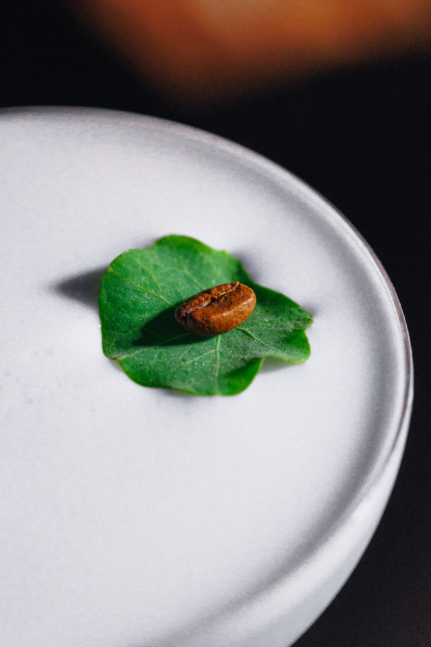 A single coffee bean resting on a fresh green leaf atop a white cocktail glass with frothy foam.