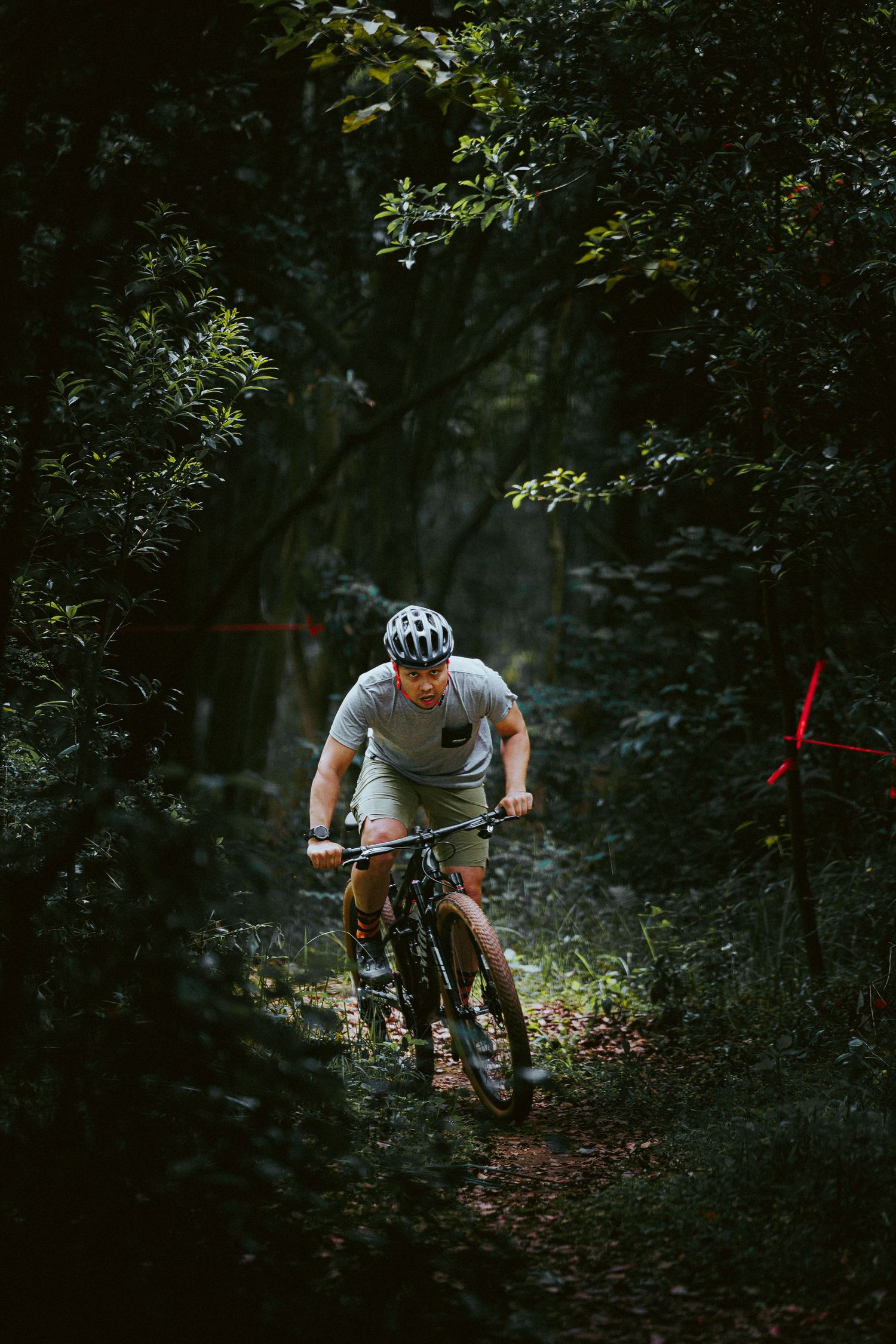 Mountain biker rides through a dark, dense forest trail wearing a helmet and casual riding gear.