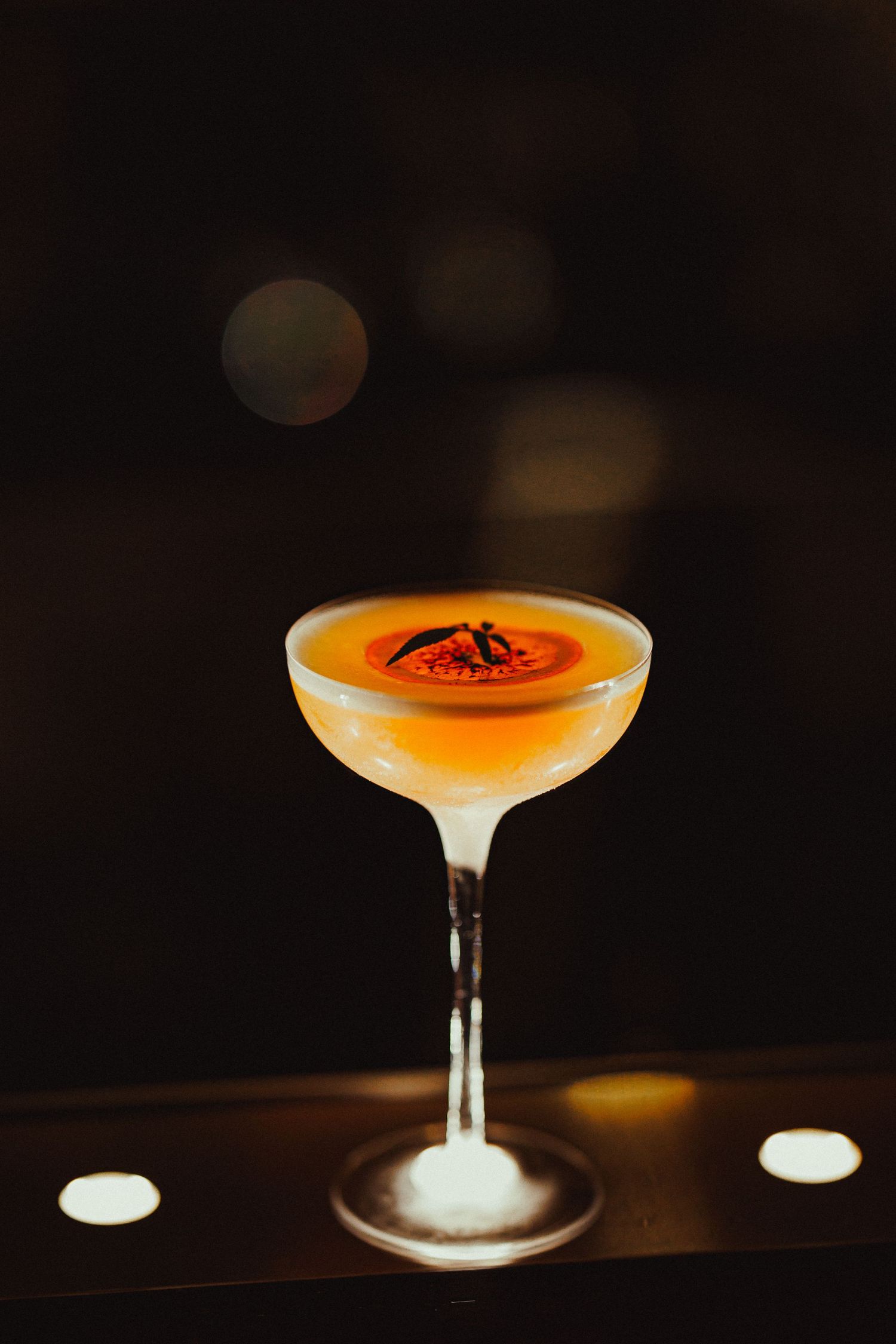 Elegant orange cocktail in coupe glass garnished with dried citrus slice on dark bar background.