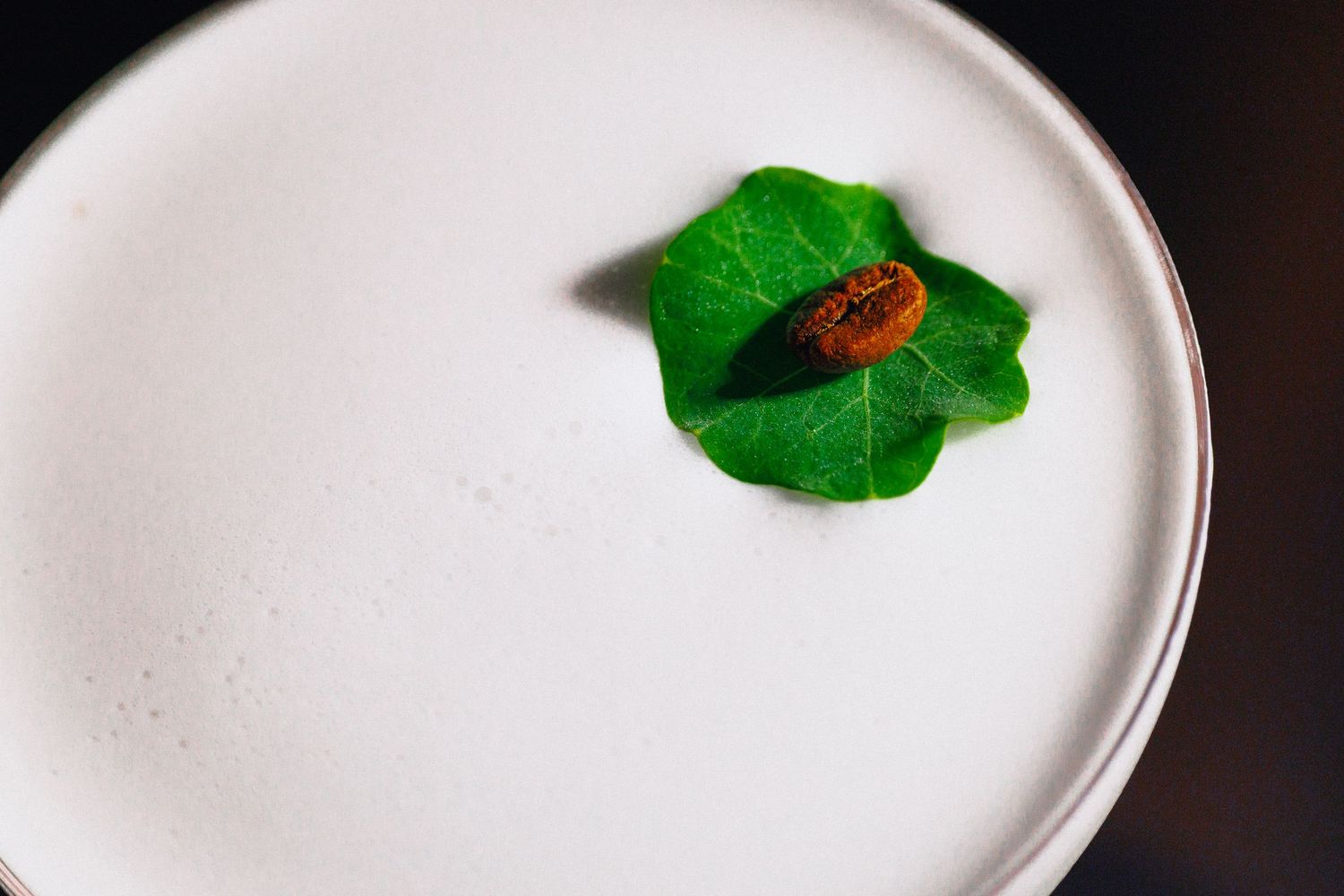 Elegant white cocktail with frothy top garnished with a green leaf and coffee bean.