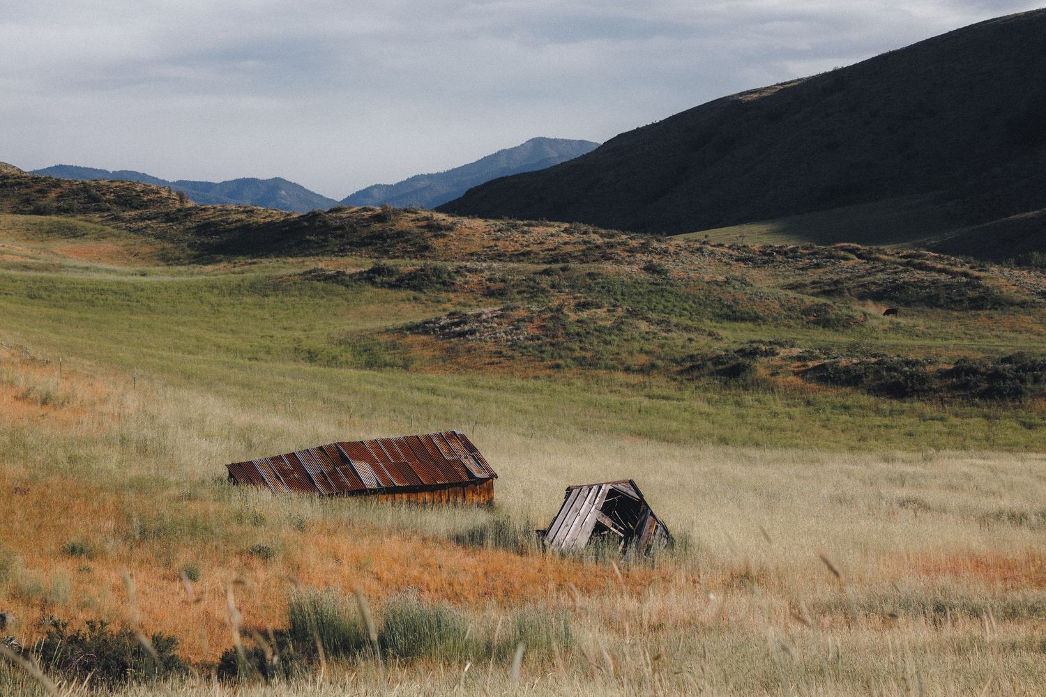 Abandoned rusty collapsed shed structures in vast golden grassland meadow with rolling mountain backdrop.