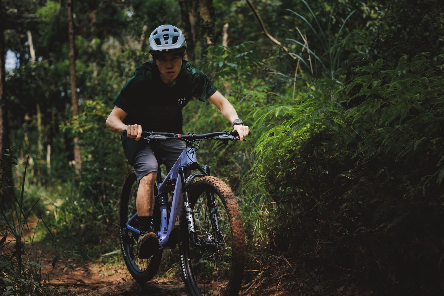 A mountain biker rides a purple bike through a lush green forest trail on a sunny day.