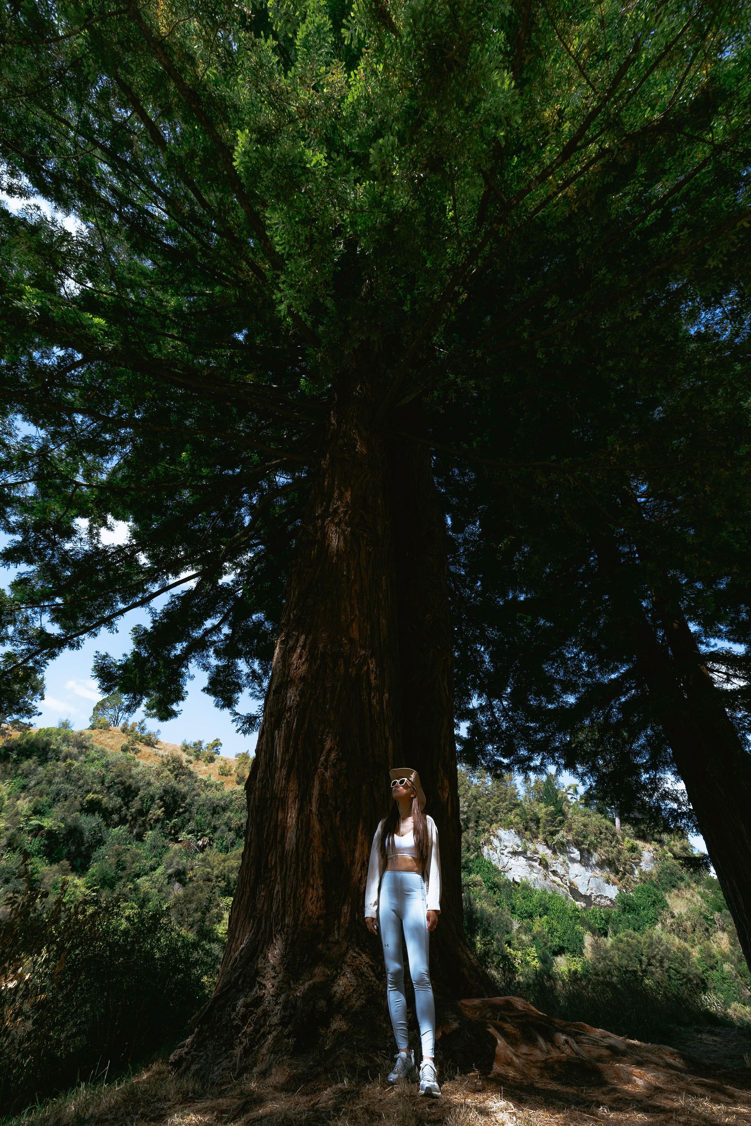 A woman in white outfit stands at the base of a massive towering redwood tree in a forest.