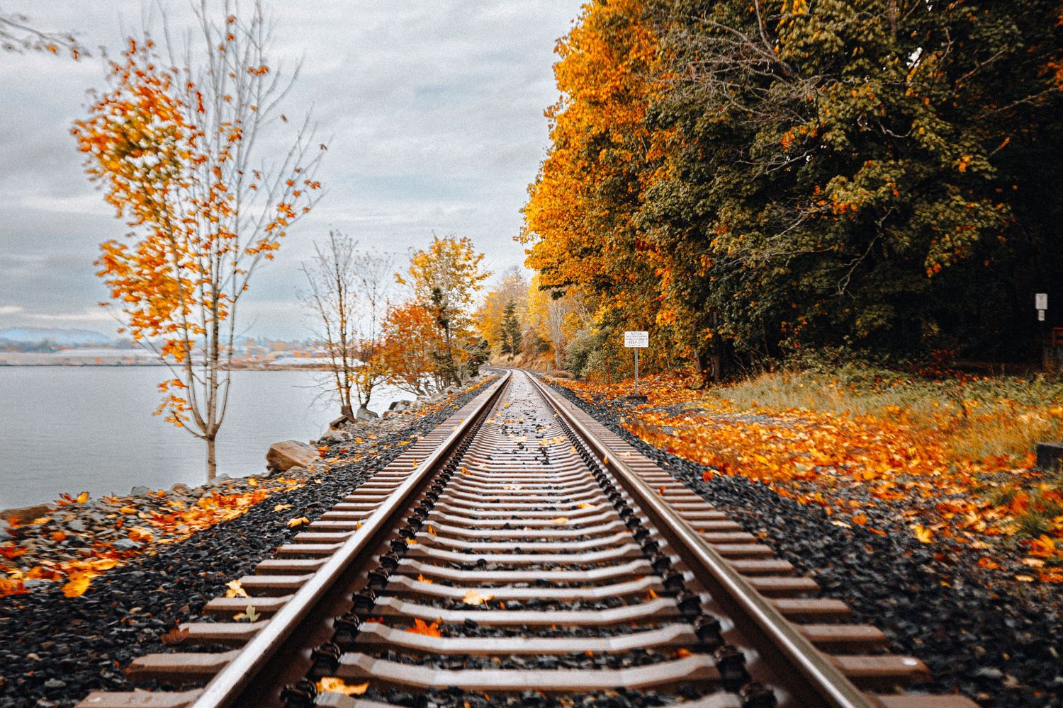 Scenic autumn railway tracks lined with vibrant orange and yellow foliage beside a calm lake.