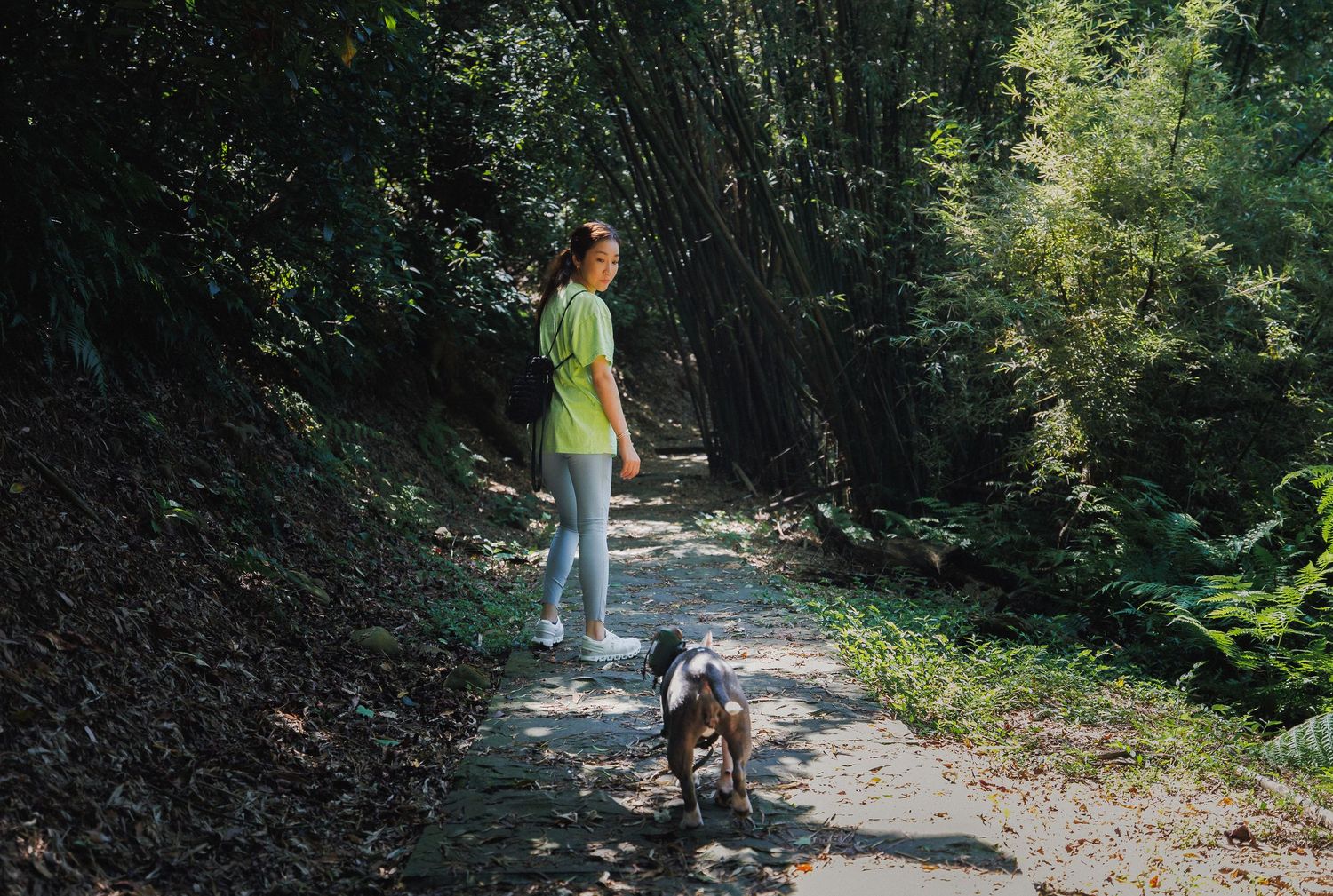 A woman walks her small dog along a sunlit forest trail surrounded by lush green trees.