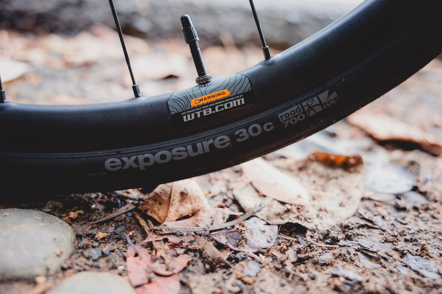 Close-up of a WTB Exposure 30c mountain bike tire on a dirt trail covered with fallen leaves.