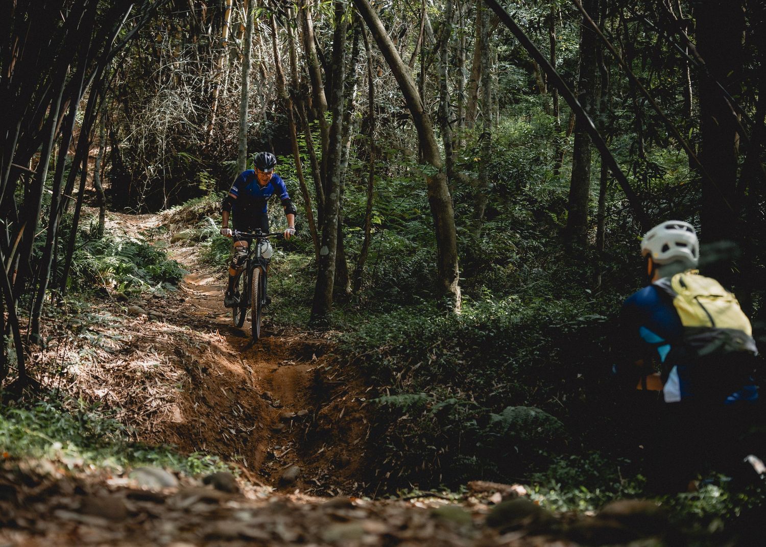 Two mountain bikers navigating a muddy forest trail surrounded by bamboo and dense green trees.