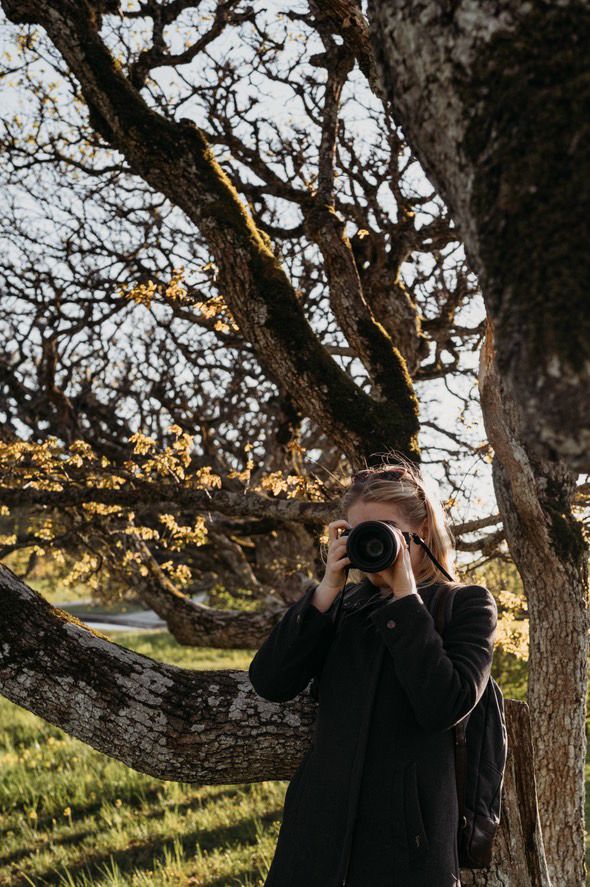 En fotograf tar bilder under en förvriden trädgren i solnedgången.