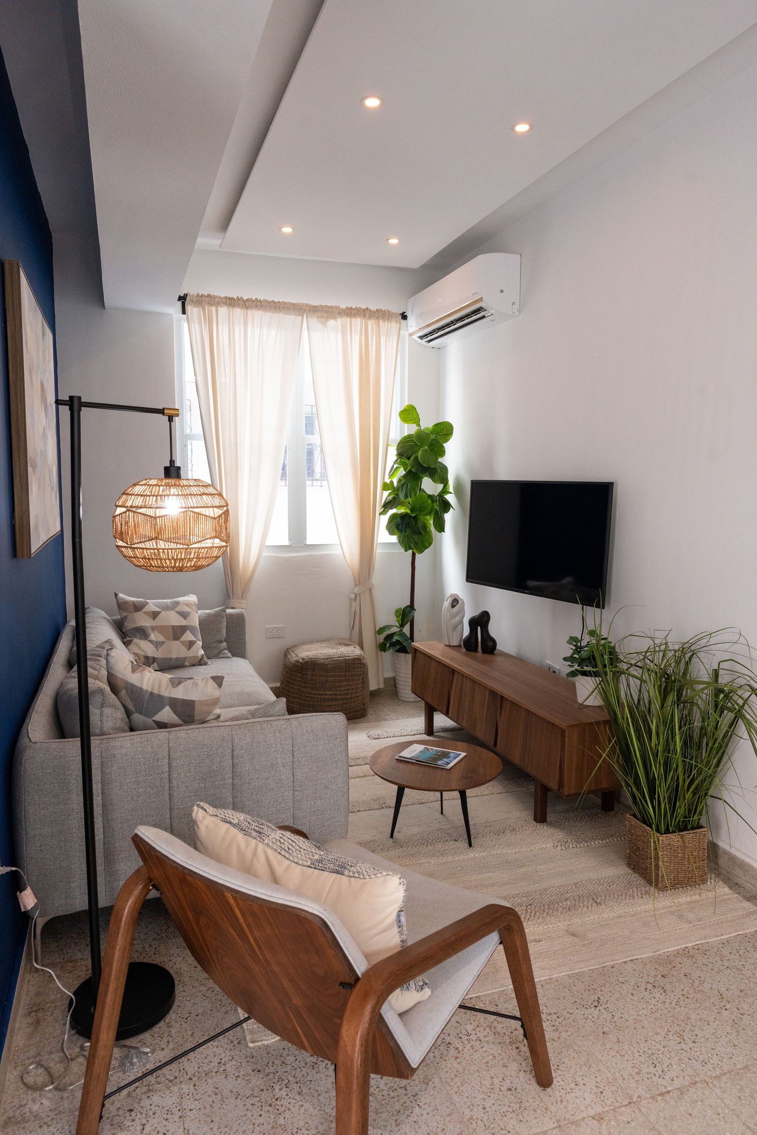 Stylish living room with gray sofa, wooden media console, indoor plants, and wicker pendant light.