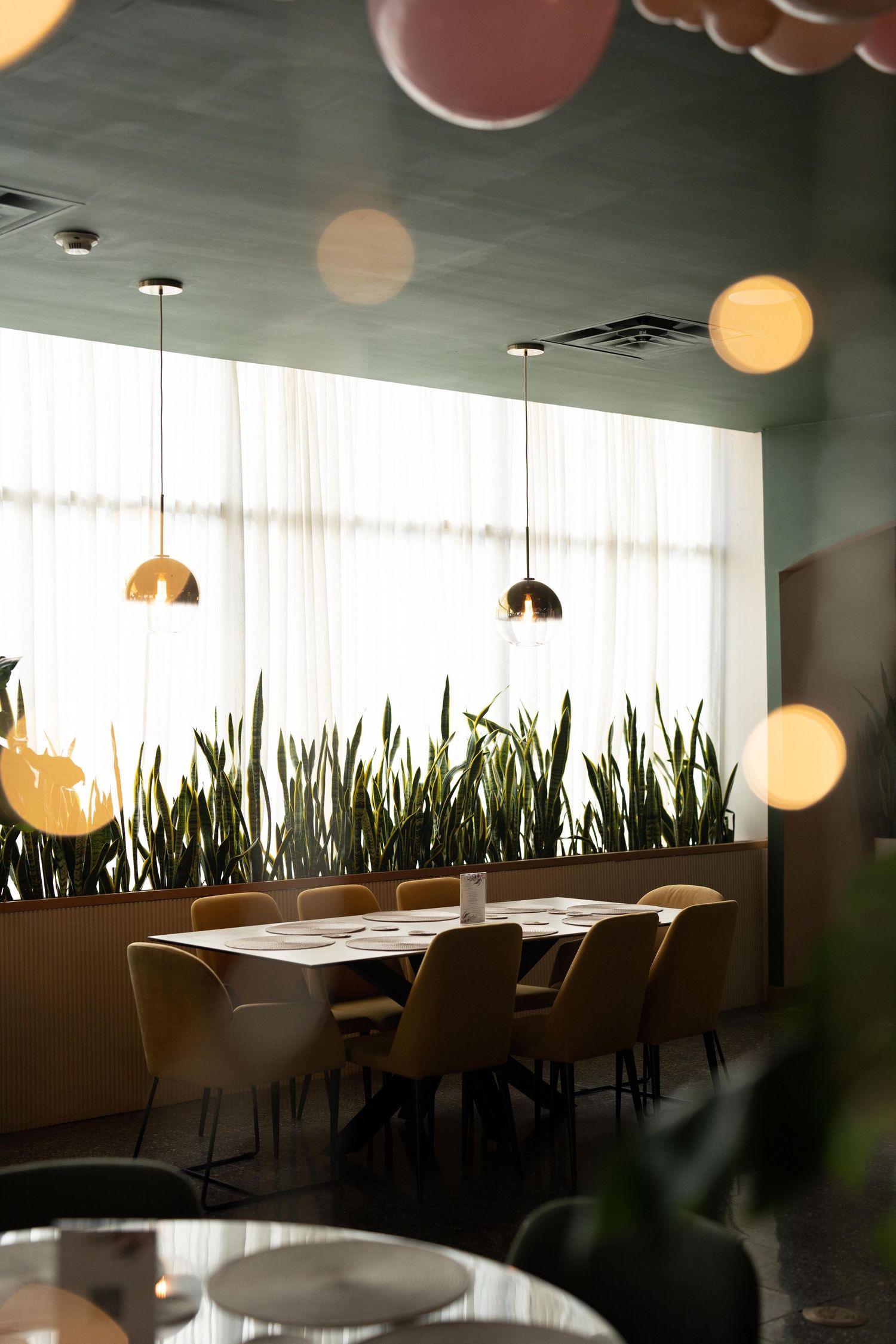 Modern restaurant interior with pendant lights, green plants, and elegant table settings by window.
