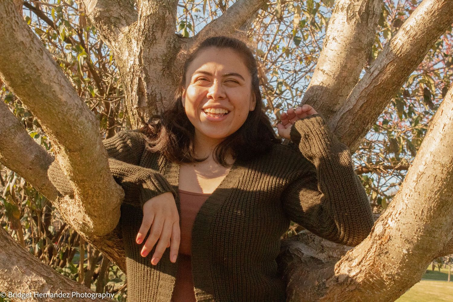 Playful poses captured while resting in a large branching tree.