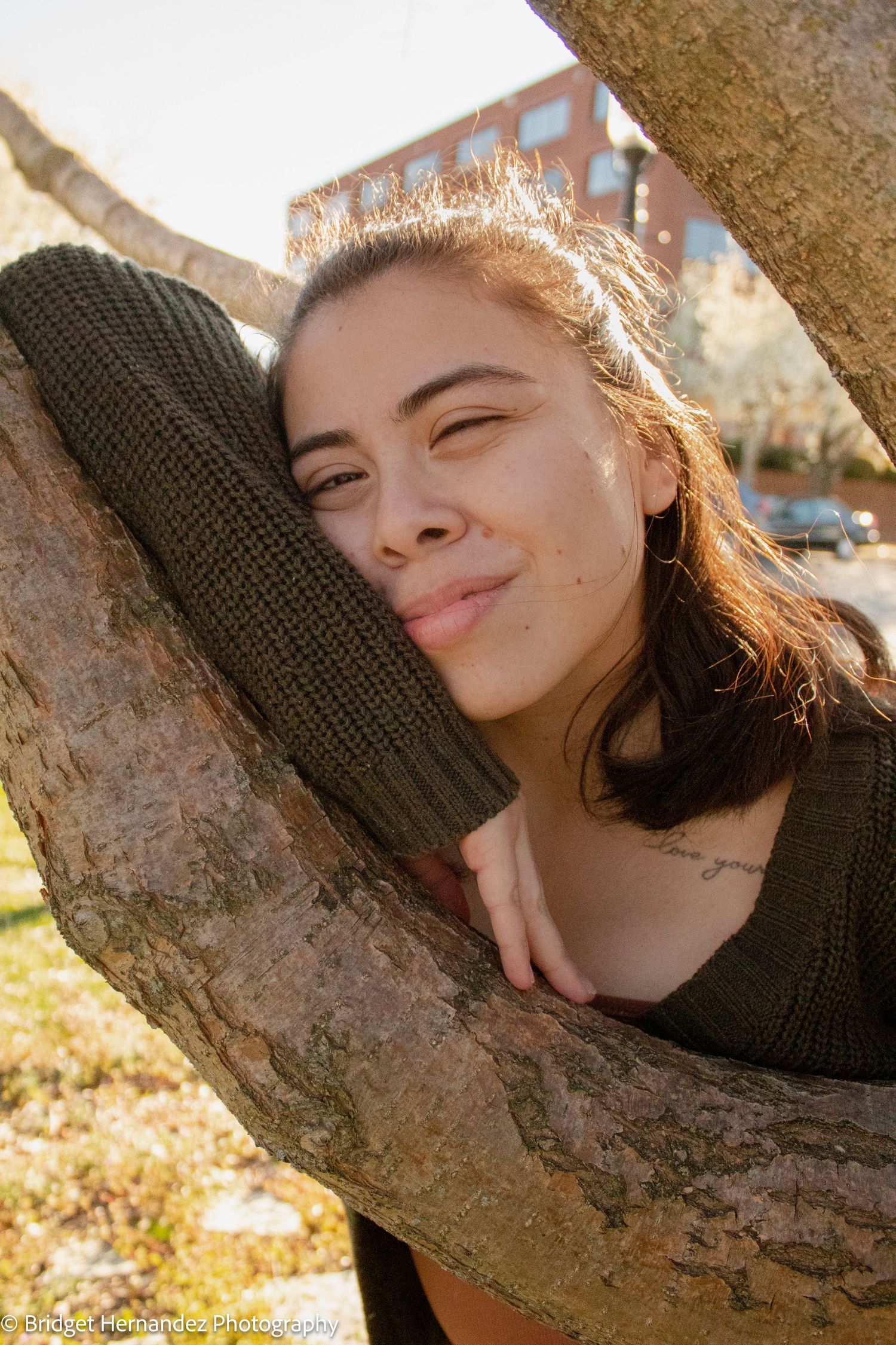 Artistic portrait series with golden hour lighting and natural tree elements.