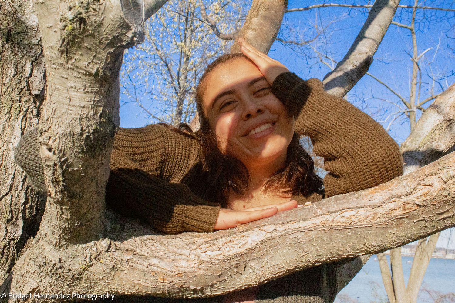 Artistic photo sequence showing poses along a tree branch outdoors.