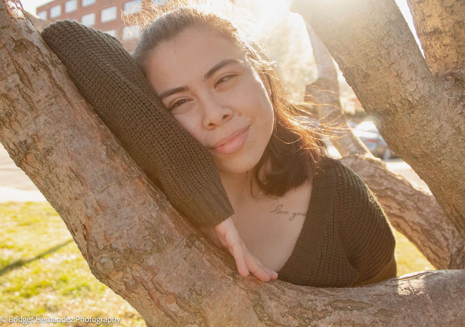 Natural light photography showcasing warm sunlit poses against tree bark.
