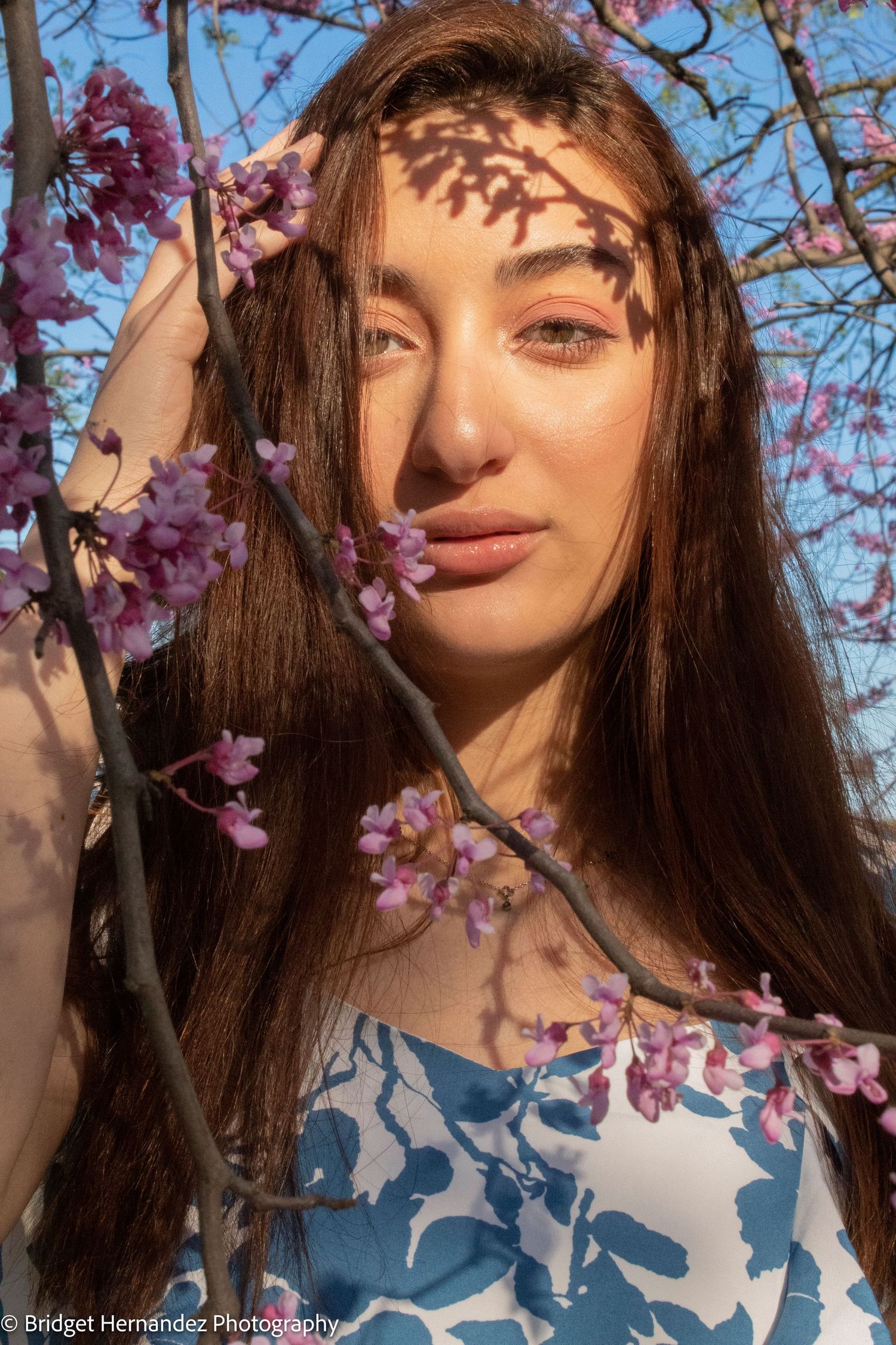 Spring portrait with pink cherry blossoms framing scene in soft natural lighting.