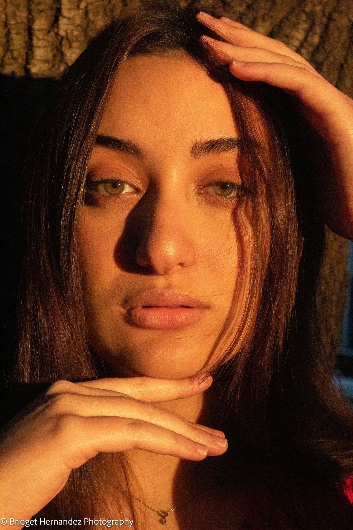 Artistic close-up portraits captured in warm golden hour lighting with dramatic shadows.